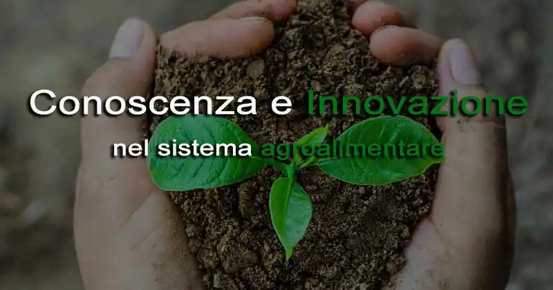Coneixement i Innovació en el sistema agroalimentari