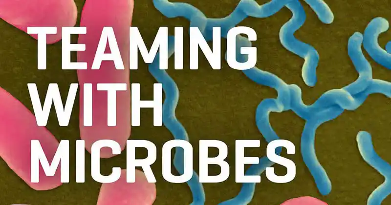Copertina del libro raffigurante alcuni microbi