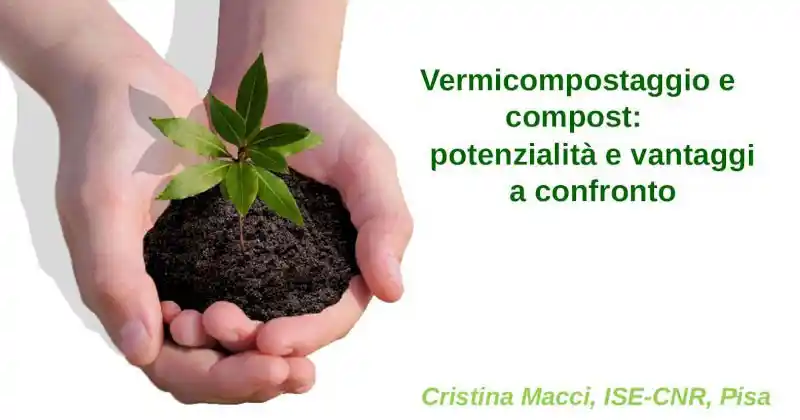 Vermicompostaggio e compost: potenzialità e vantaggi a confronto